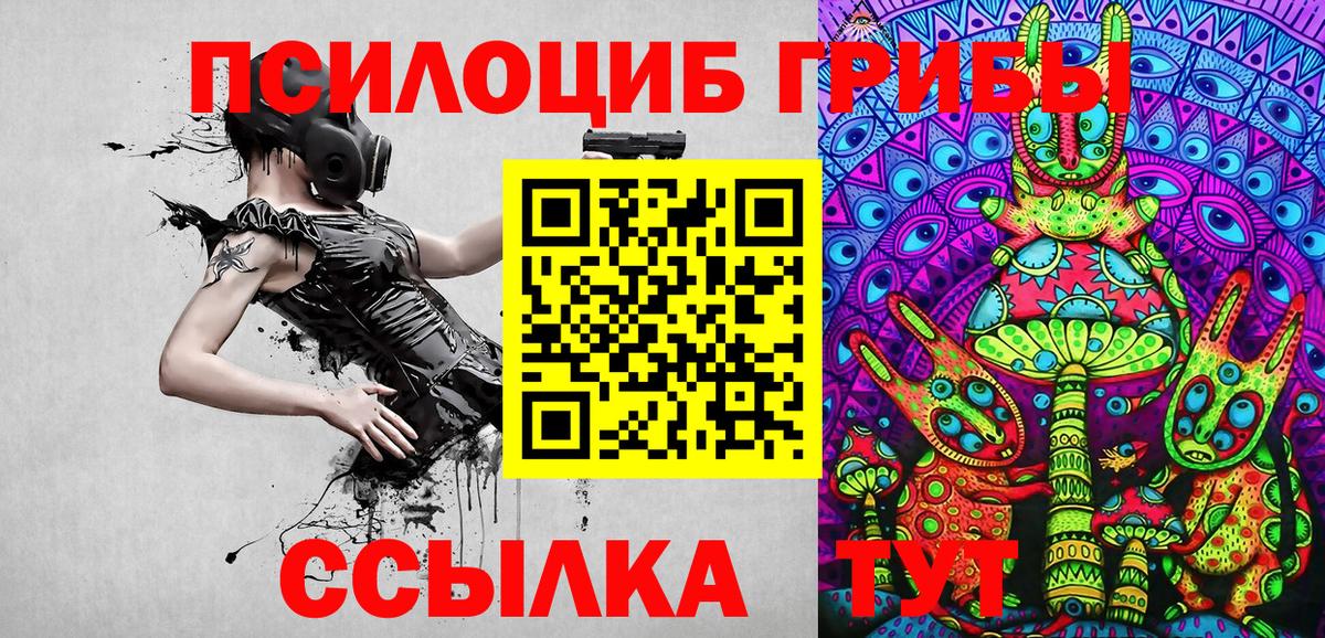 Псилоцибиновые грибы ЛСД  Вход с VPN  Абинск  цены наркотик  Псилоцибиновые грибы мицелий 